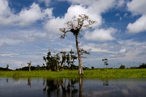 Loango National Park